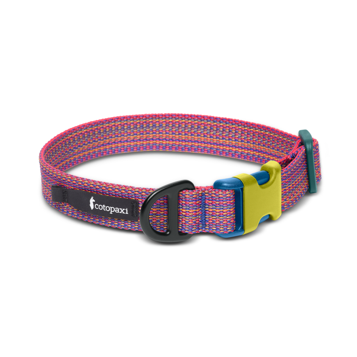 Del D??a Dog Collar
